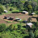 Portal de Rondônia