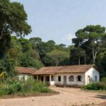 Escola rural em Seringueiras com seringueiras representando alta escolarização no ensino básico