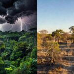 Amazônia com chuva e trovoadas contrastando com céu claro no Tocantins
