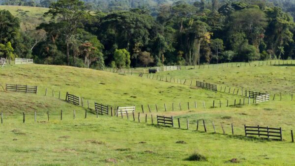 Paisagem rural em Rondônia relacionada a produtores rurais e decisão judicial