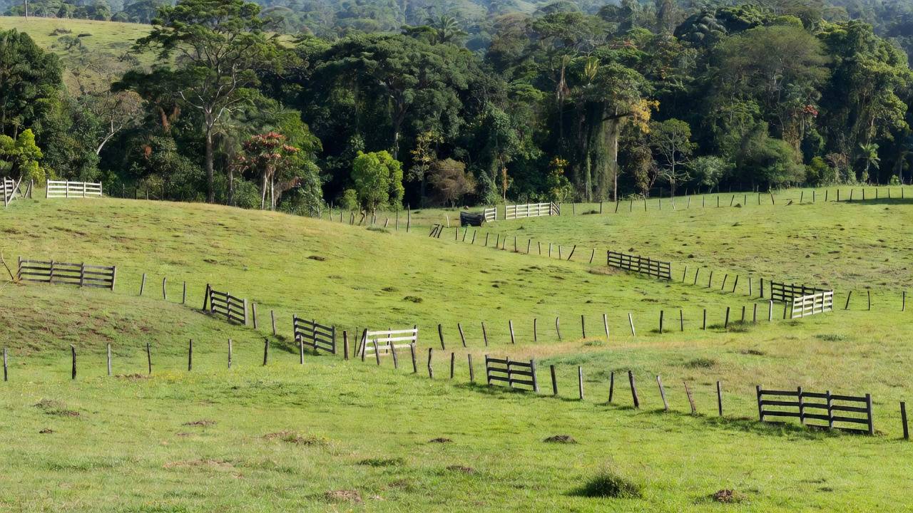 Paisagem rural em Rondônia relacionada a produtores rurais e decisão judicial