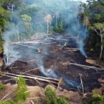 Desmatamento e queimadas ilegais em Candeias do Jamari, Rondônia