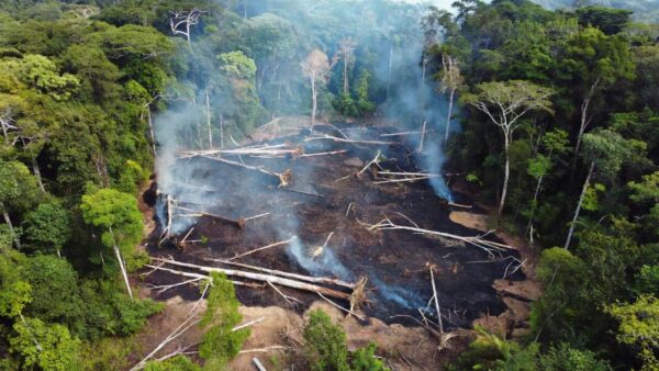 Desmatamento e queimadas ilegais em Candeias do Jamari, Rondônia