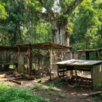 Centro de castração e fauna silvestre em Porto Velho, Rondônia
