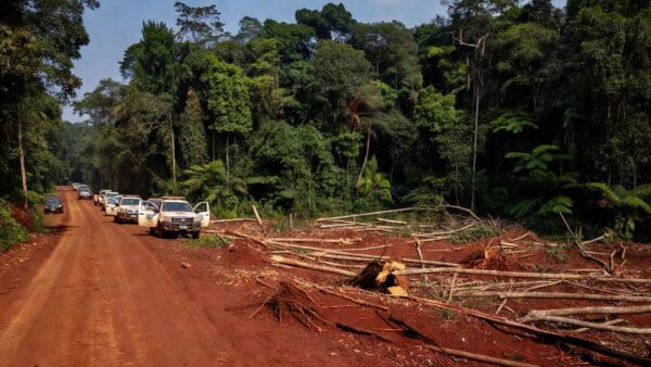 Operação da Polícia Civil contra grilagem e desmatamento na Amazônia em Rondônia