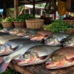 Tambaqui e pirarucu frescos em mercado de peixes no Brasil