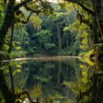 Lagos do rio Jamari na Amazônia, proposta de gestão compartilhada.