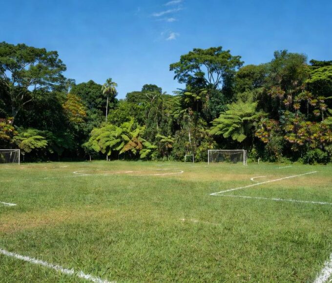 Campo de futebol do 1º Torneio da Linha do Açaí em Porto Velho