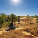 Paisagem ensolarada em Rondônia com céu azul e sol forte, calor de até 37°C