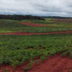 Lavoura de soja em Rondônia com relevo amazônico e monitoramento por satélite