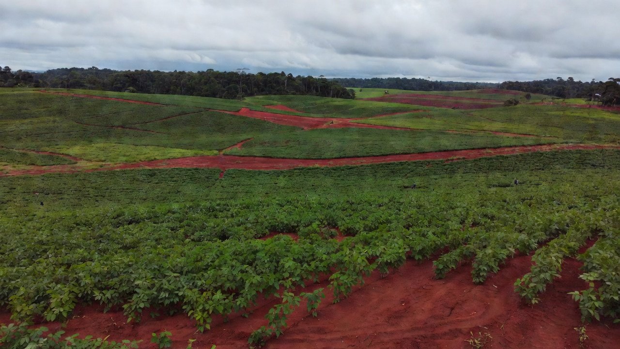 Lavoura de soja em Rondônia com relevo amazônico e monitoramento por satélite