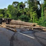 Caminhão com toras tombado interdita BR-364 entre Porto Velho e Candeias do Jamari