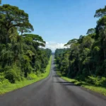 Rodovia federal estratégica no Norte do Brasil com paisagem amazônica