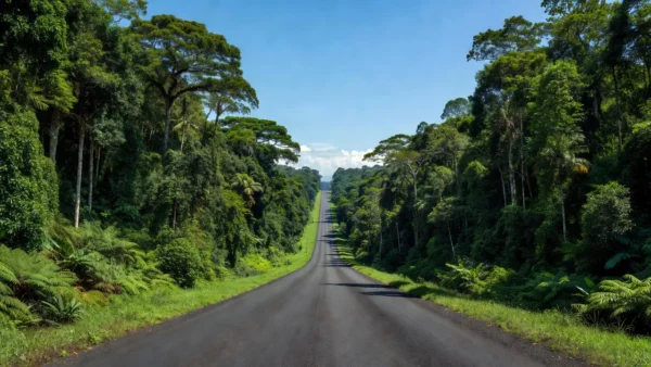 Rodovia federal estratégica no Norte do Brasil com paisagem amazônica