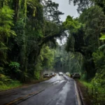 Estrada em Rondônia durante operação da Polícia Civil contra tráfico interestadual de drogas