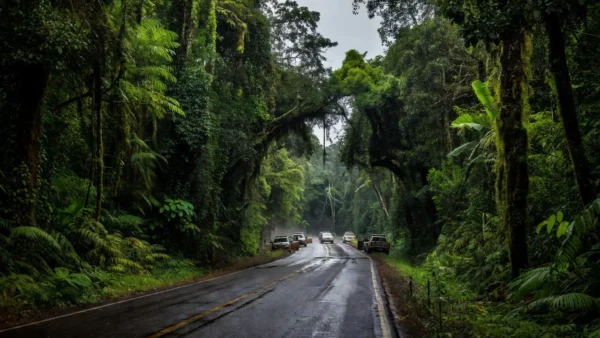 Estrada em Rondônia durante operação da Polícia Civil contra tráfico interestadual de drogas