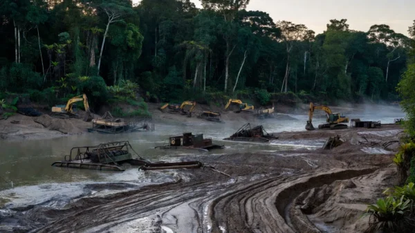 Área de mineração ilegal de ouro na Amazônia em Rondônia e Mato Grosso
