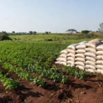 Deputado Coronel Chrisóstomo propõe isenção de impostos em fertilizantes para pequenos produtores rurais